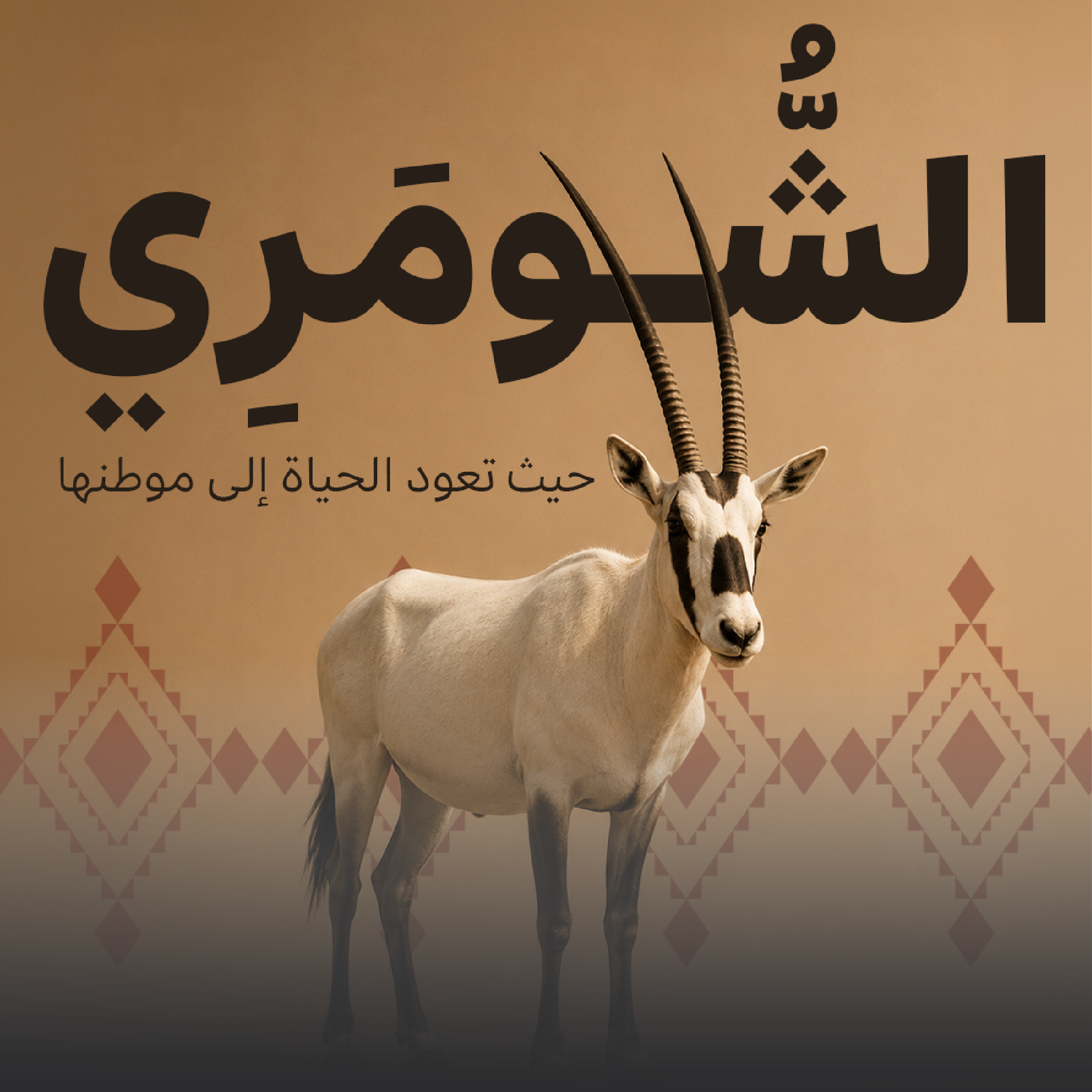 Tourism Promotion Campaign for the Eastern Desert